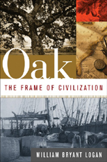 Oak-Frame-of-Civilization