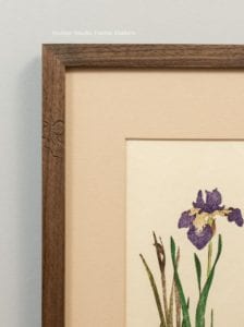 Anonymous Japanese print of iris—detail