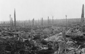 WWI photo destroyed forest, Flanders