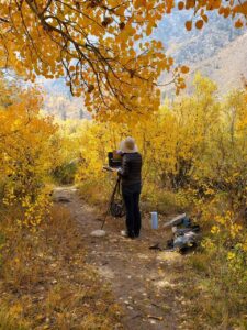 Ellen Howard painting in aspens