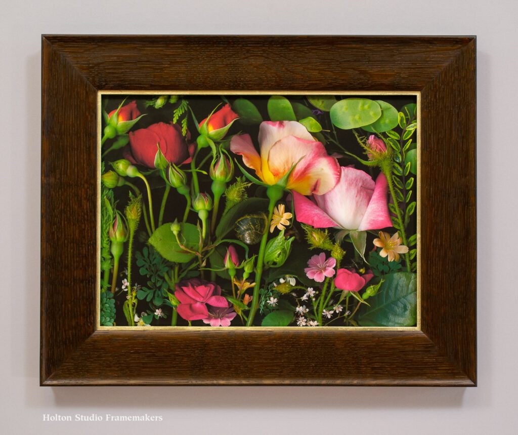 Framed Deb Stoner photo